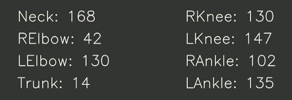 Screenshot: Winkel- und Gelenkmessung